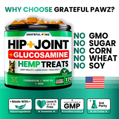 Hemp Hip and Joint Supplement for Dogs - Glucosamine for Dogs - 170 Joint Pain Relief Treats - Chondroitin, MSM, Hemp Oil - Advanced Health Supplement - Mobility Support Chews - Made in USA