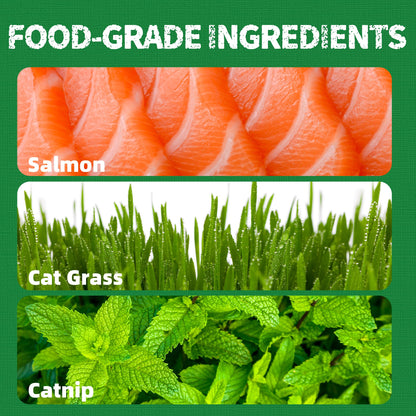 Just Try 13.4 OZ Cat Treats for Indoor Cats Hairball Control Natural Salmon Healthy Cat Grass Treats Kitten Snacks Training Biscuits Catnip for Cats Dental Care