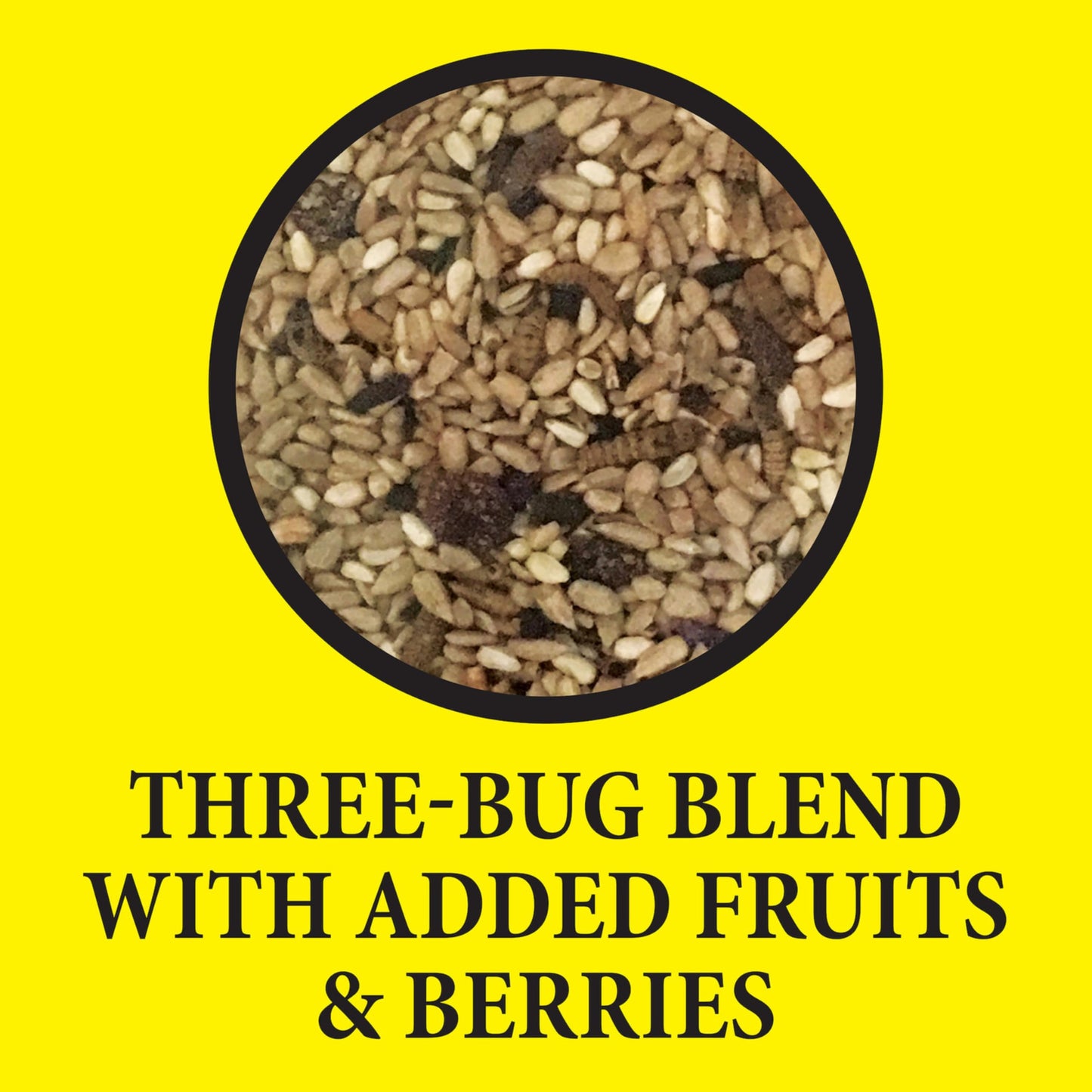 Wild Delight Advanced Formula Bugs N Berries Wild Bird Food 4.5 lbs