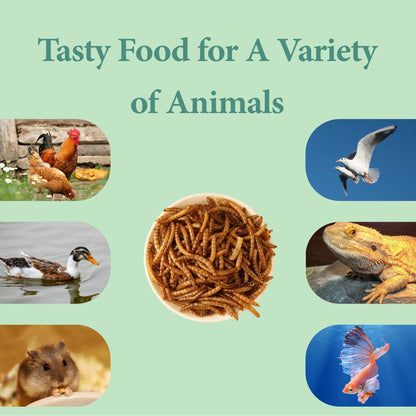 WORMSKING 2LB Dried Mealworms for Poultry, Wild Birds,Tasty Bird Food