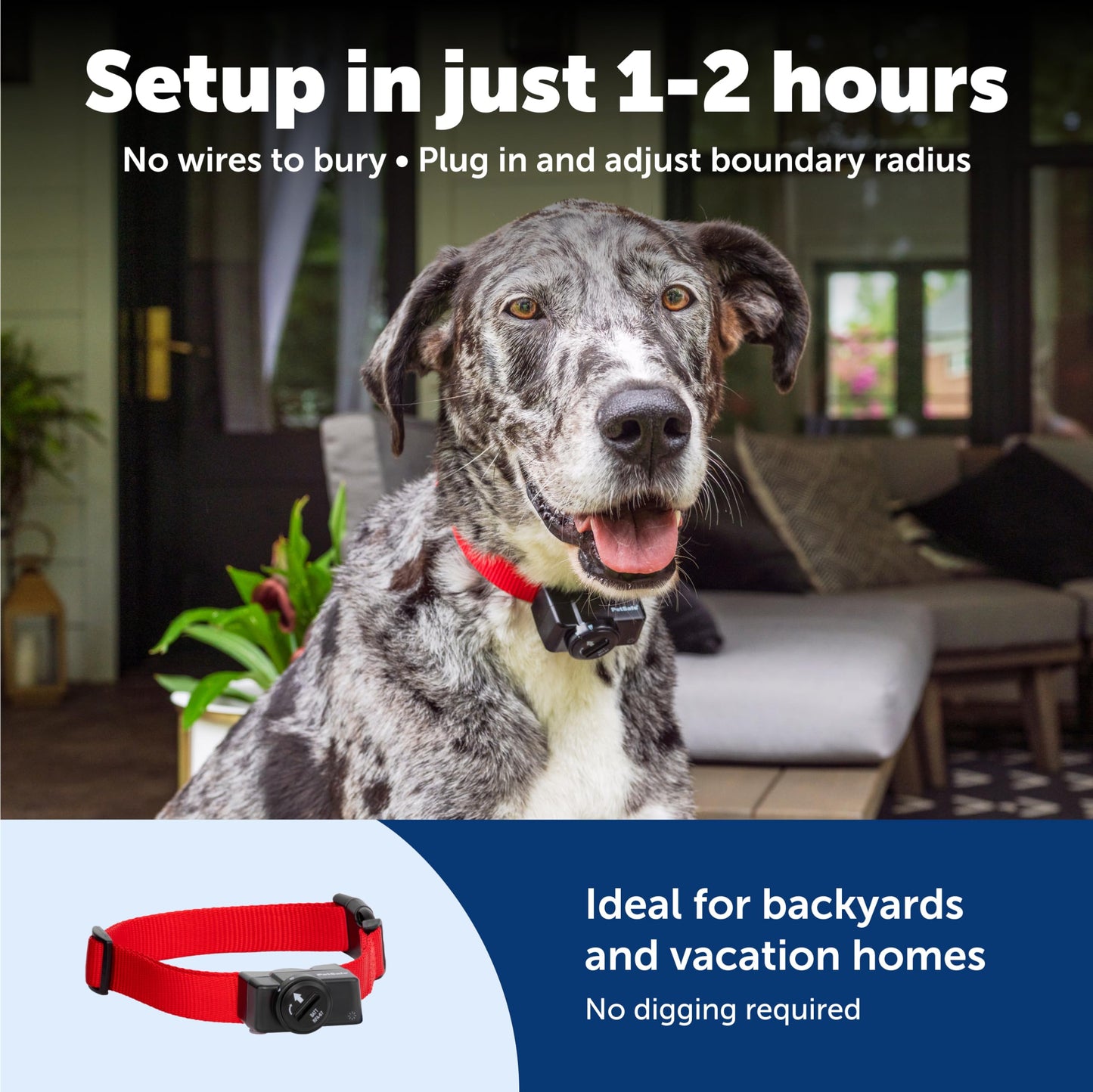 PetSafe Wireless Pet Containment System - Original Wireless Electric Fence for Dogs - Covers Up to 1/2 Acre - for Pets 8lb+