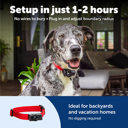 PetSafe Wireless Pet Containment System - Original Wireless Electric Fence for Dogs - Covers Up to 1/2 Acre - for Pets 8lb+