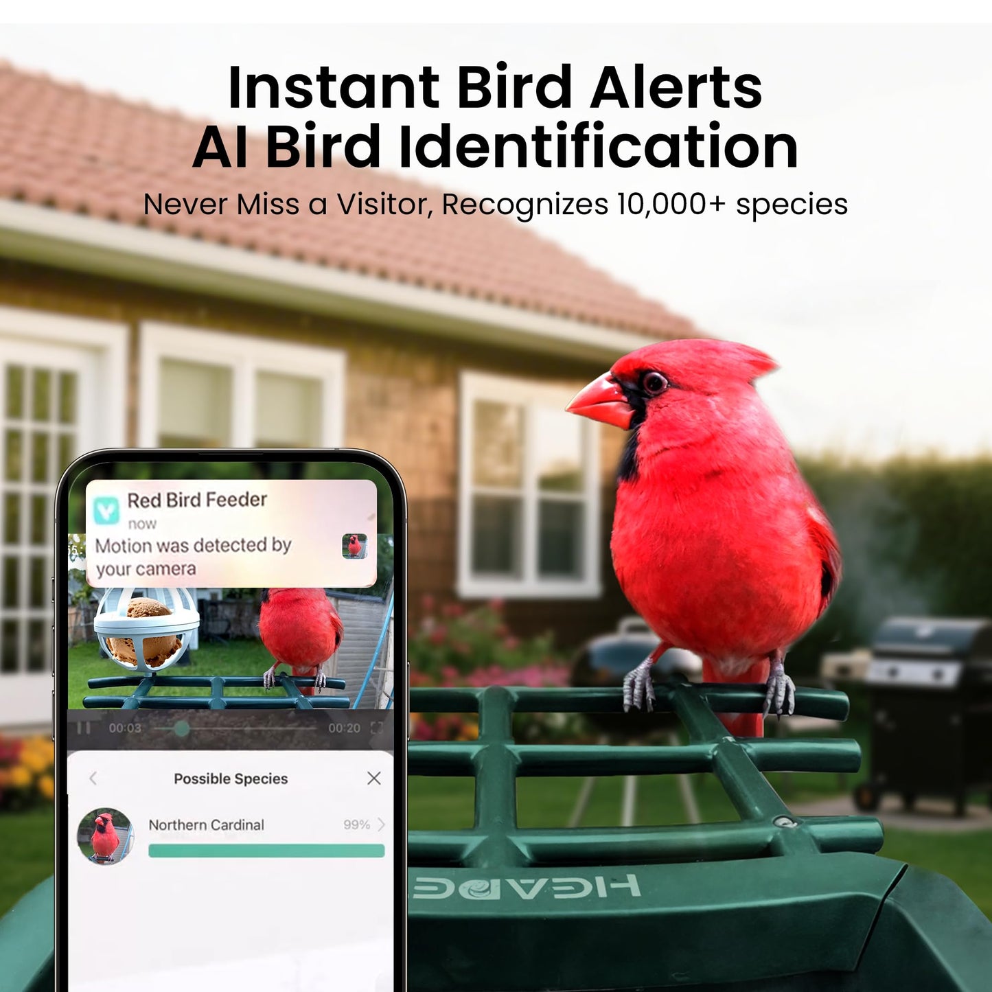 Smart Bird Feeder with Camera Solar Powered 2K HD Video, 10,000+ Species AI Recognition, Real-Time App Alerts, and Weatherproof Design for Effortless Birdwatching, Gift for Bird Lovers, Green Brown