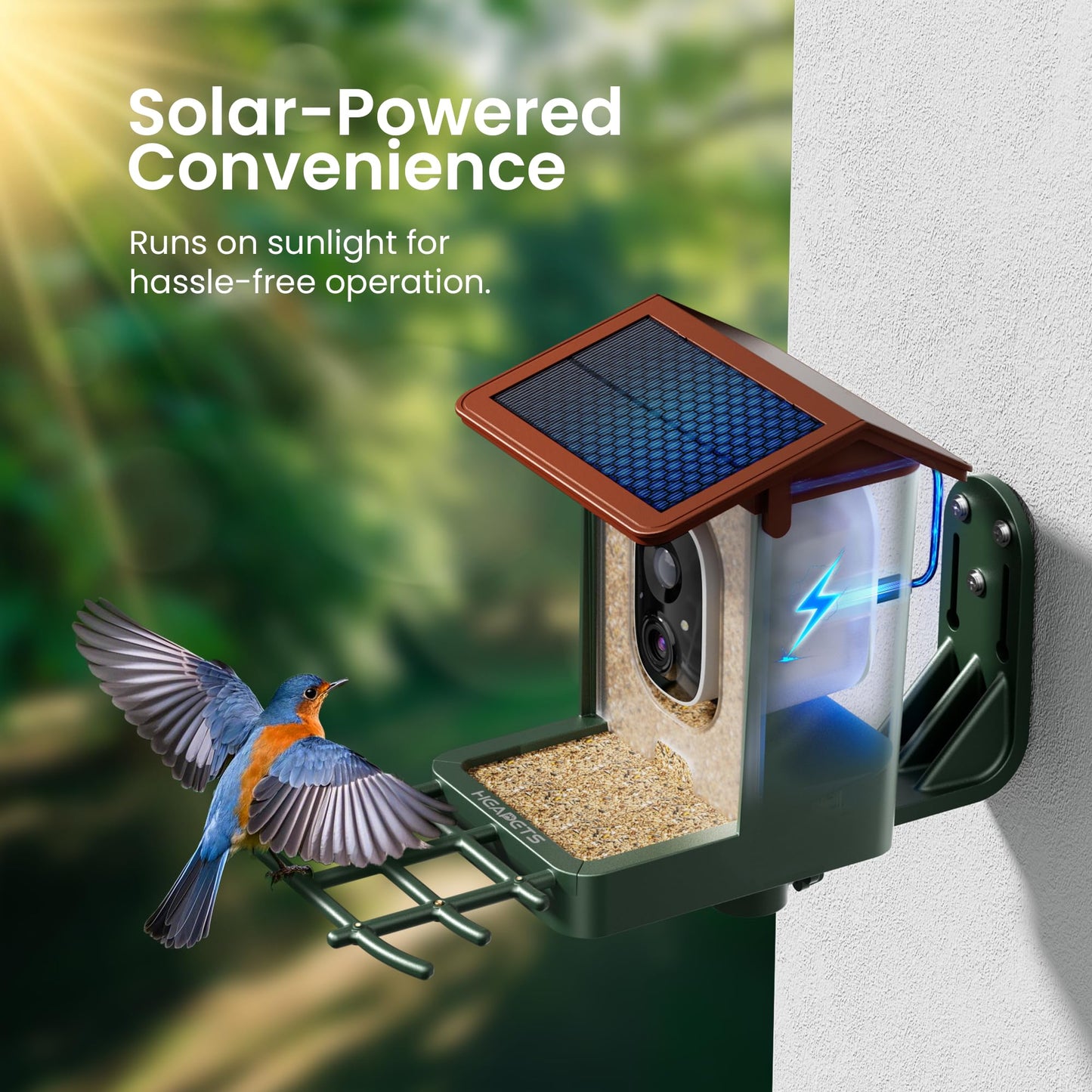 Smart Bird Feeder with Camera Solar Powered 2K HD Video, 10,000+ Species AI Recognition, Real-Time App Alerts, and Weatherproof Design for Effortless Birdwatching, Gift for Bird Lovers, Green Brown