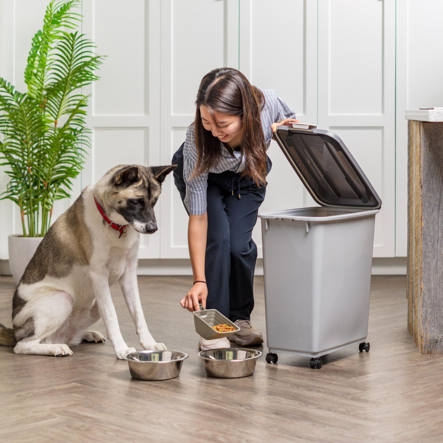 IRIS USA Dog Food Storage Container with Wheels, Airtight Lid, 2-Cup Scoop, Up to 40 Pounds Pet Food Storage, Built in Scoop Storage in Lid, Versatile Pet Food Bin, Portable, BPA Free, Gray/Dark Gray
