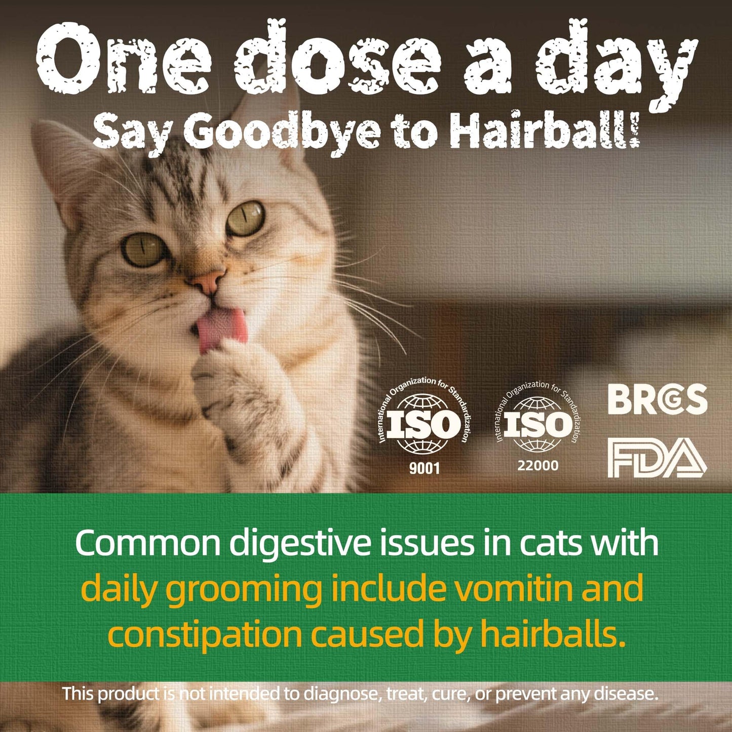 Just Try 13.4 OZ Cat Treats for Indoor Cats Hairball Control Natural Salmon Healthy Cat Grass Treats Kitten Snacks Training Biscuits Catnip for Cats Dental Care