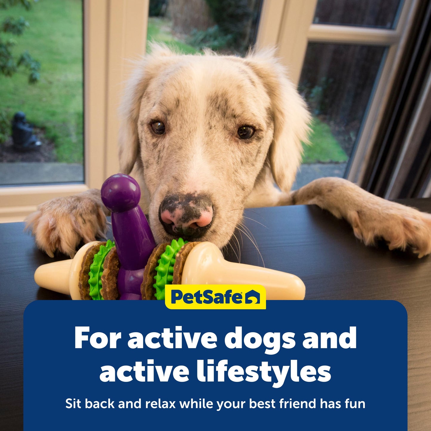 PetSafe Busy Buddy Jack - Keeps Dog Busy - Includes Treats Refill - Treat Holding Dog Toy - Helps Clean Teeth - Durable Rubber - Strong Chewers - Dishwasher Safe - Large - Purple
