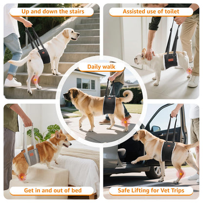 LOOBANI Portable Dog Sling for Back Legs, Hip Support Harness to Help Lift Dogs Rear for Canine Aid and Old K9 Cruciate Ligament Rehabilitation