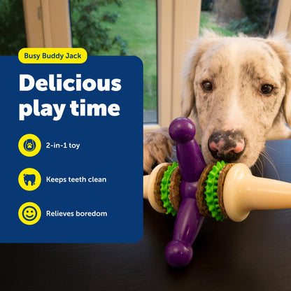 PetSafe Busy Buddy Jack - Keeps Dog Busy - Includes Treats Refill - Treat Holding Dog Toy - Helps Clean Teeth - Durable Rubber - Strong Chewers - Dishwasher Safe - Large - Purple