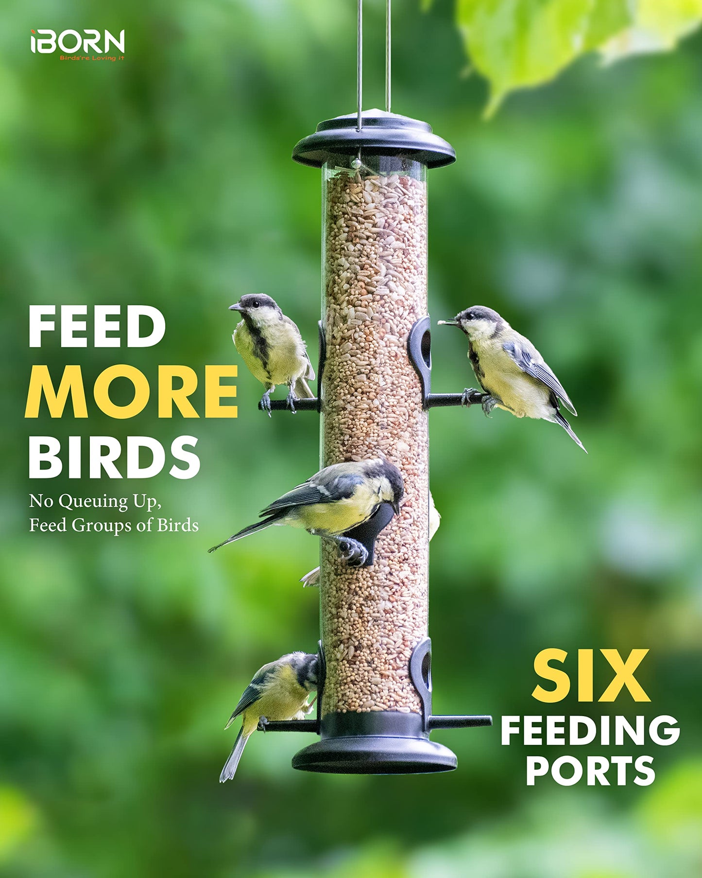 iBorn Metal Bird Feeder Hanging Wild Bird Seed Feeder for Mix Seed Blends Heavy Duty All Metal Black Finish,15 Inch 6 Port,Pack of 2