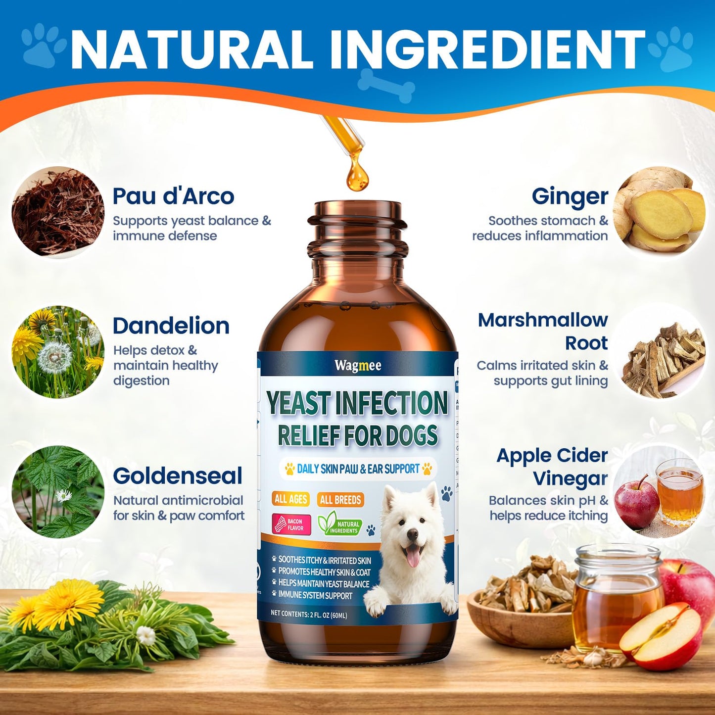 Natural Yeast Relief for Dogs, Supports Itch & Allergy Relief, Eases Ear Paw Discomfort for Dog, Supports Immune System Yeast Inflammation – 60ml Bacon Flavor