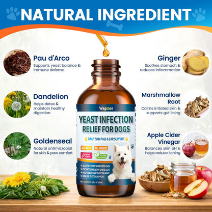 Natural Yeast Relief for Dogs, Supports Itch & Allergy Relief, Eases Ear Paw Discomfort for Dog, Supports Immune System Yeast Inflammation – 60ml Bacon Flavor
