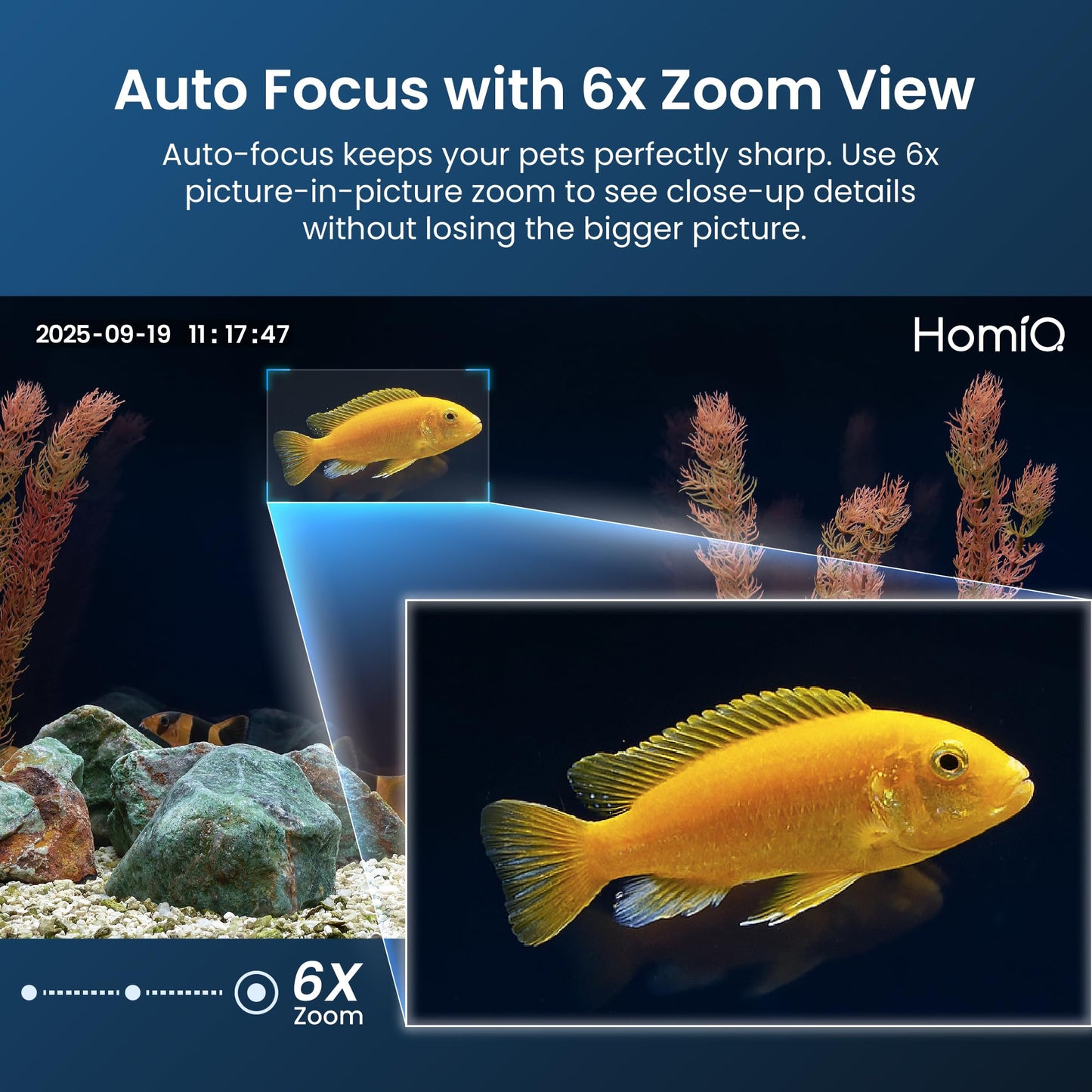 HOMIQ LIFE 3MP 2K Aquarium & Terrarium Pet Camera.Install &Close-Focus Lens for Fish,Lizard, Reptile Pet and Window Bird Feeder,2.4GHz & 5GHz WiFi,Auto-Focus,24/7 Recording