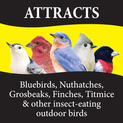 Wild Delight Advanced Formula Bugs N Berries Wild Bird Food 4.5 lbs