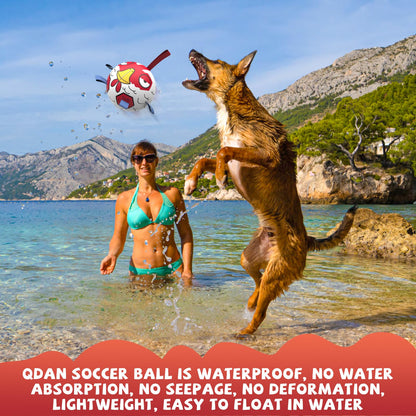 QDAN Dog Balls Toys, Dog Soccer Ball Toy Soccer Balls with with Straps, Dog Gifts Toys, Pet Puppy Birthday Valentines Gifts for Small Medium Dogs, 6 Inch, Chicken Ball