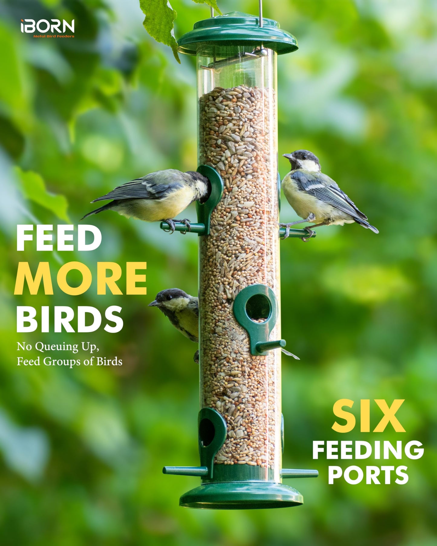 iBorn Metal Bird Feeders 6 Ports Hanging Wild Bird Seed Feeder for Mix Seed Blends, Seed Feeder, Sunflower Heart, Birdbath, Heavy Duty All Metal Green Finishing 15 Inch 6Port, Pack of 2,Gift Box