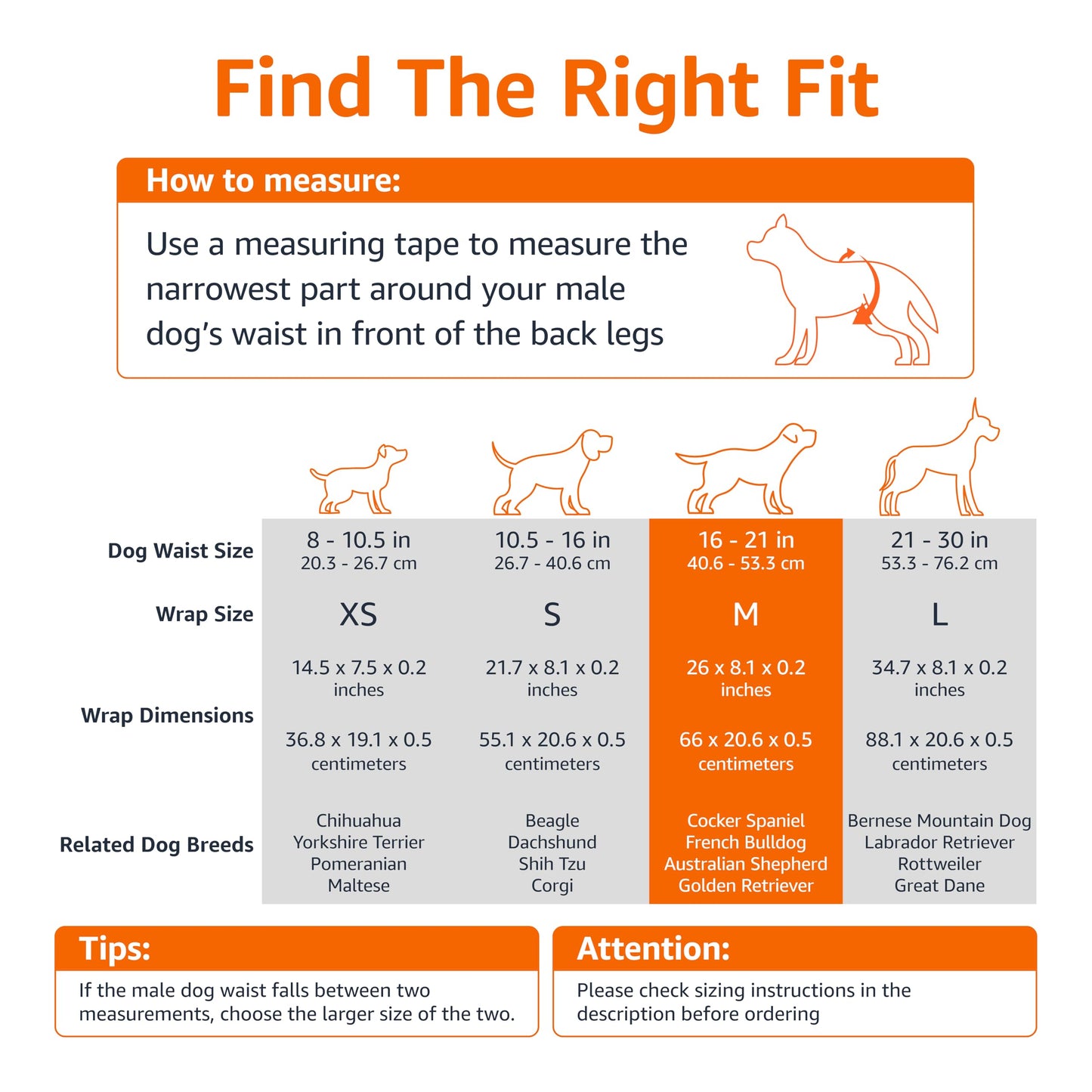 Amazon Basics Male Dog Diapers, Ultra Absorbent Disposable Wrap with Leak Proof Protection, Wetness Indicator, Secure Fit, Breathable, Medium, 30 Count