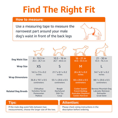 Amazon Basics Male Dog Diapers, Ultra Absorbent Disposable Wrap with Leak Proof Protection, Wetness Indicator, Secure Fit, Breathable, Medium, 30 Count