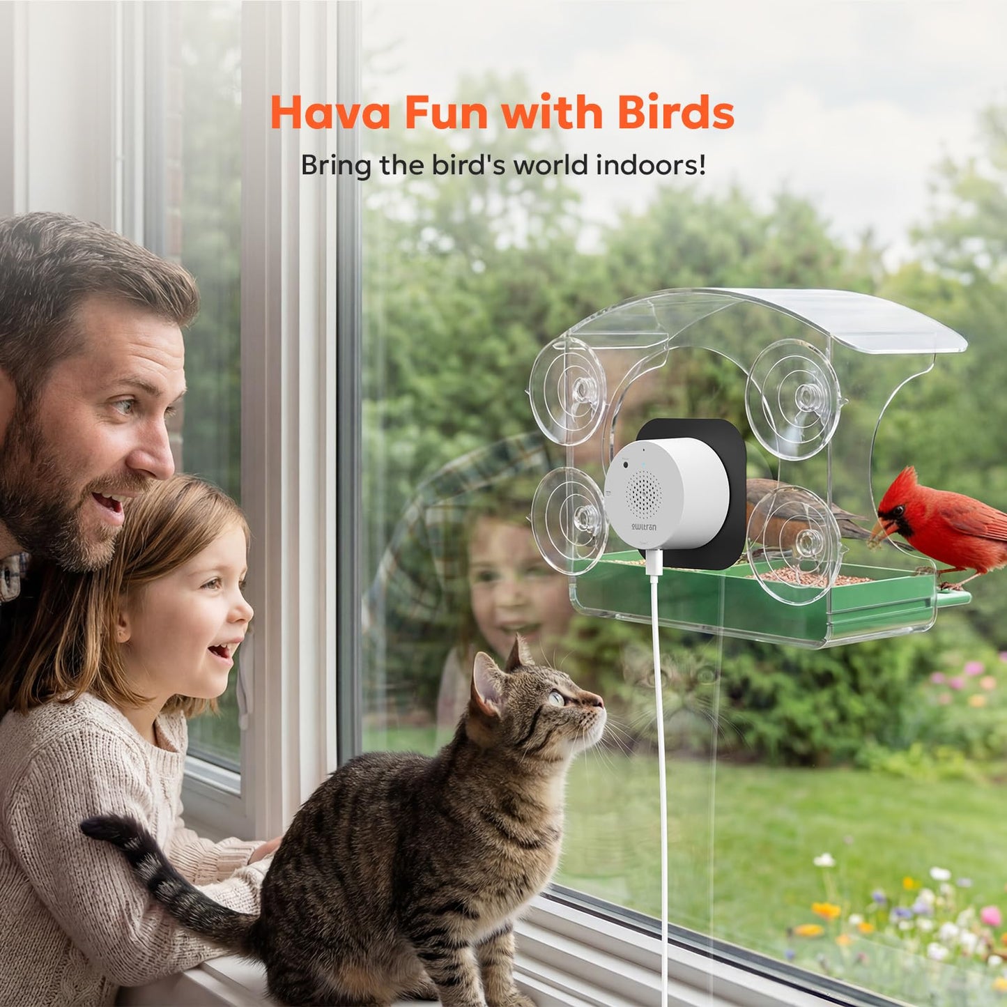 owltron Window Bird Feeder with Camera, 2K 3MP Window Bird Friends Feeder with AI Identify 10000+ Birds 2.4/5GHz WiFi 24/7 Live View Recording 147°Ultra Angle for Elderly Parents, Kids, Birding Lovers