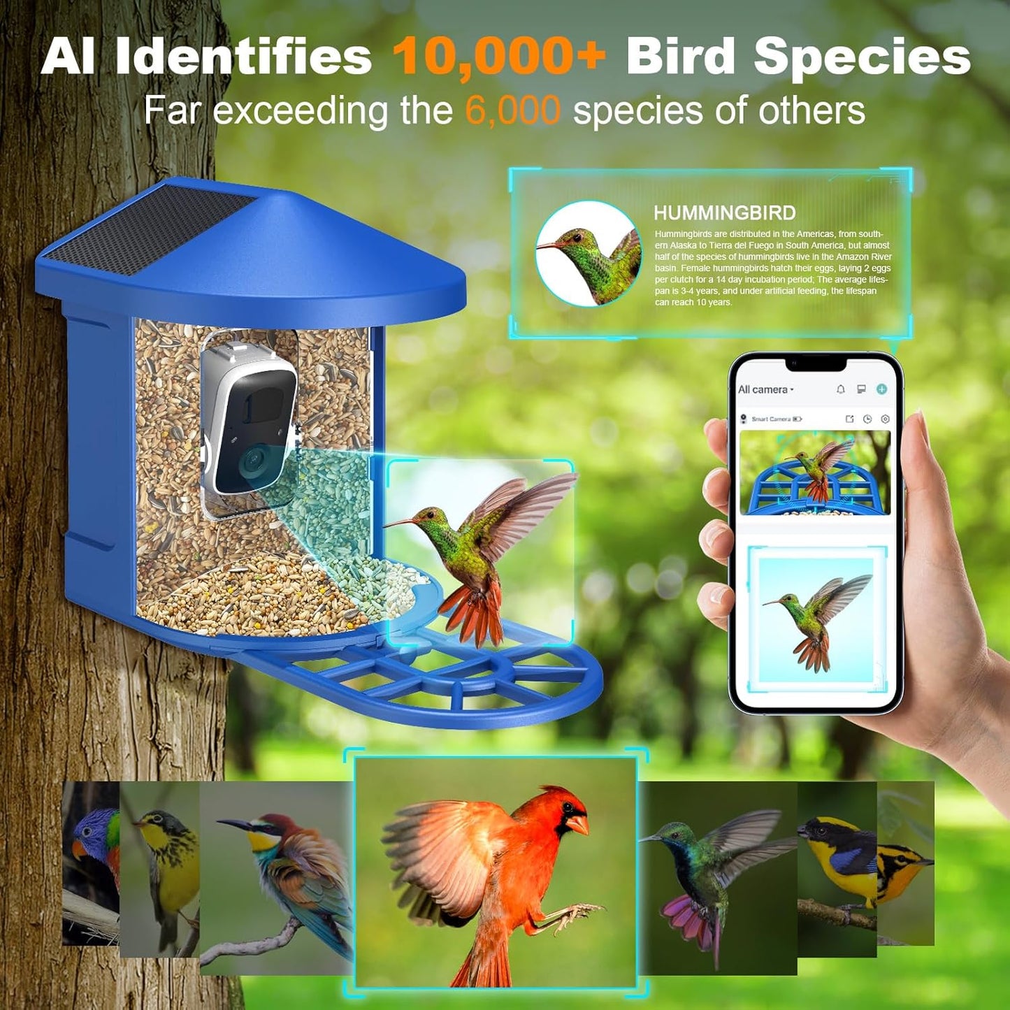 PeckCam® Bird Feeder with Camera, 2K HD AI Identify Birds Species, Bird Feeder with Camera Solar Powered, Auto Record Birds Video, Instant Notifications, Ideal Gifts for Family and Bird Lovers