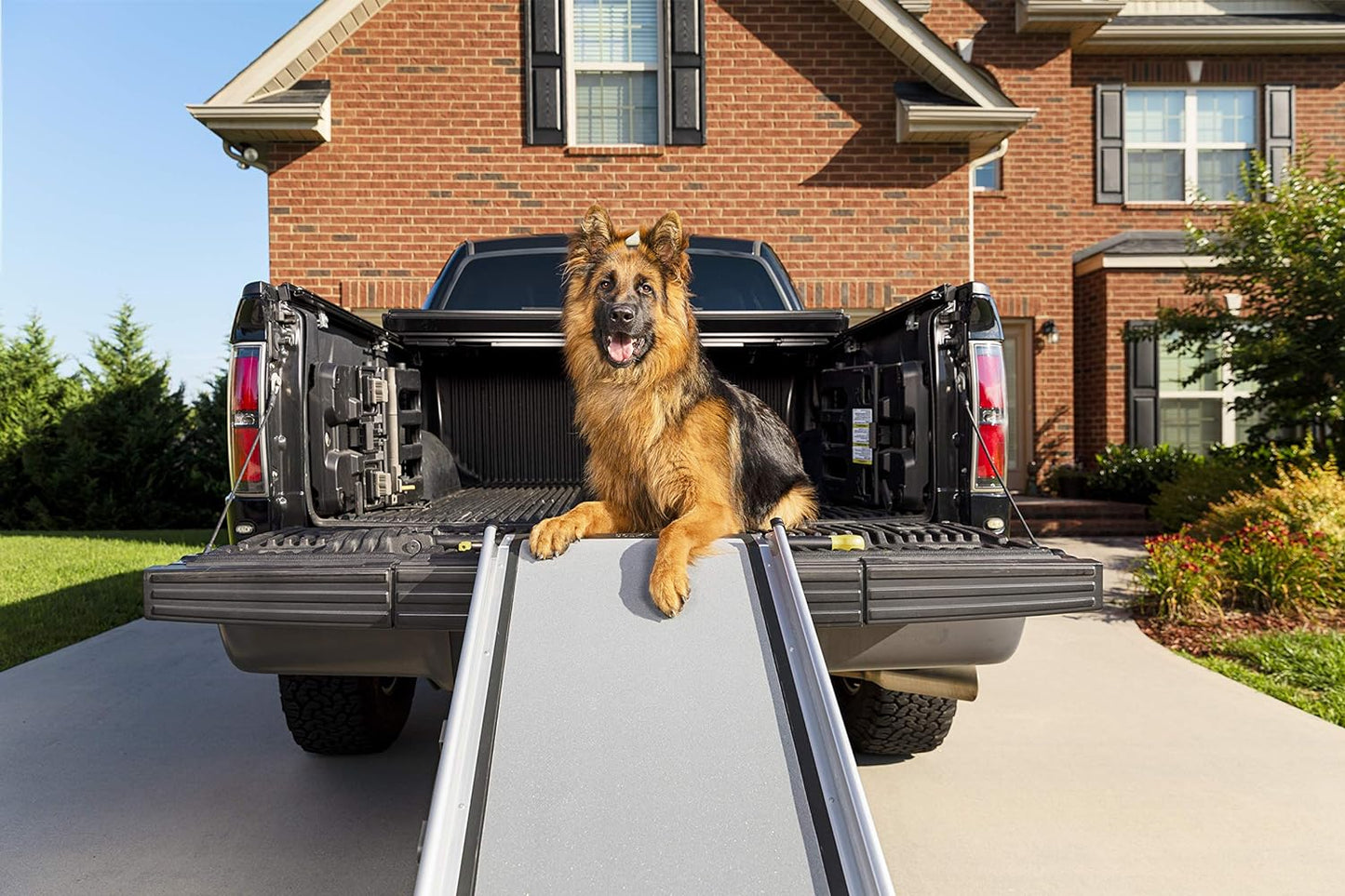 Petsafe Happy Ride Telescoping Dog Ramp Extends from 39-71 Inches No Slip High Traction Surface Collapsible and Locking for Easy Storage for Trucks, Suvs, and Cars Weighs Only 13 Pounds