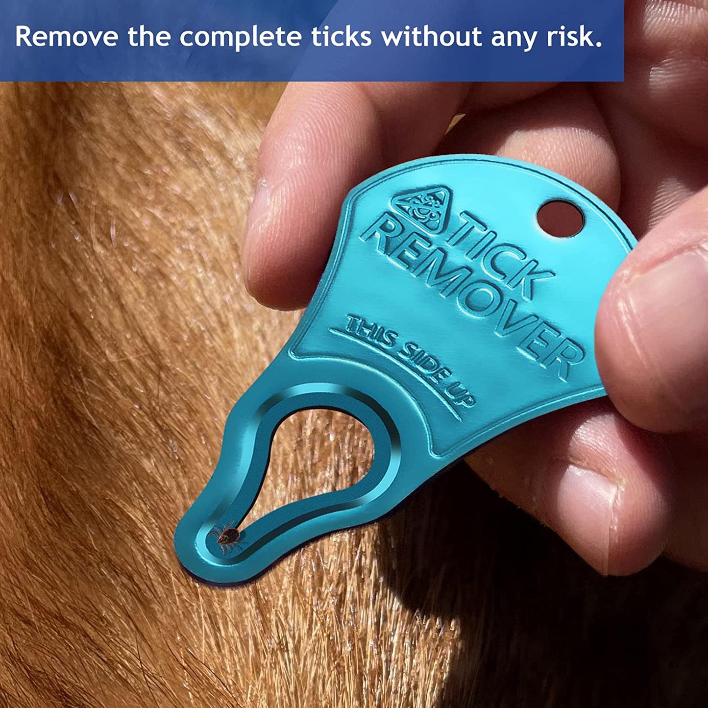 3 Pack Tick Remover Tool Portable, Tick Removal for Pet and Humans, Safe and Reliable, Pain-Free, Essential Tools for Outdoor Activities