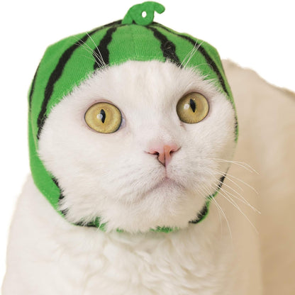 Kitan Club Cat Cap - Pet Hat Blind Box Includes 1 of 6 Cute Styles - Soft, Comfortable - Authentic Japanese Kawaii Design - Animal-Safe Materials, Premium Quality (Fruit)