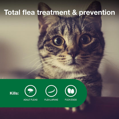 Advantage II Small Cat Vet-Recommended Flea Treatment & Prevention | Cats 5-9 Lbs. | 1-Month Supply