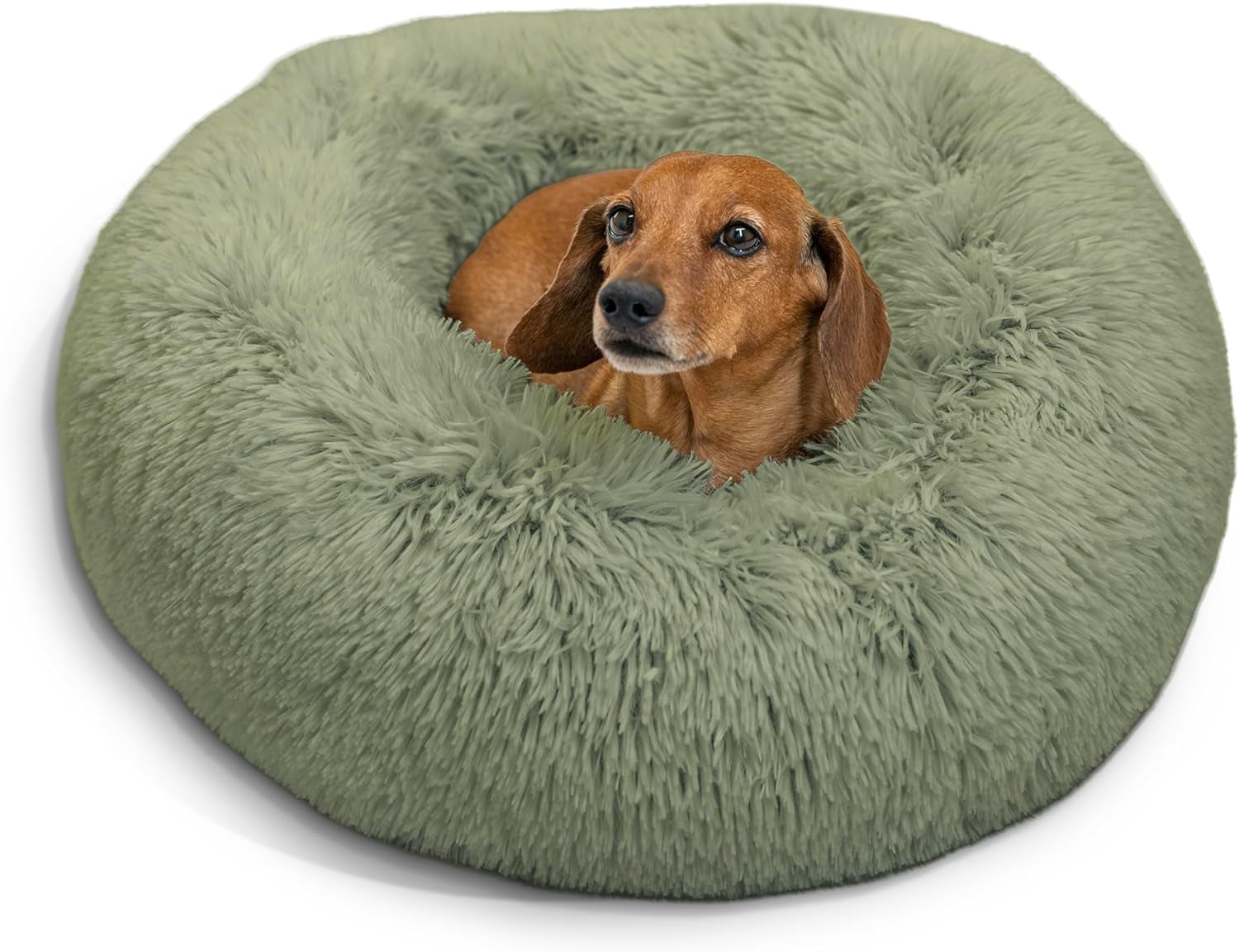 Best Friends by Sheri the Original Calming Donut Cat and Dog Bed in Shag Fur Sage, Small 23"