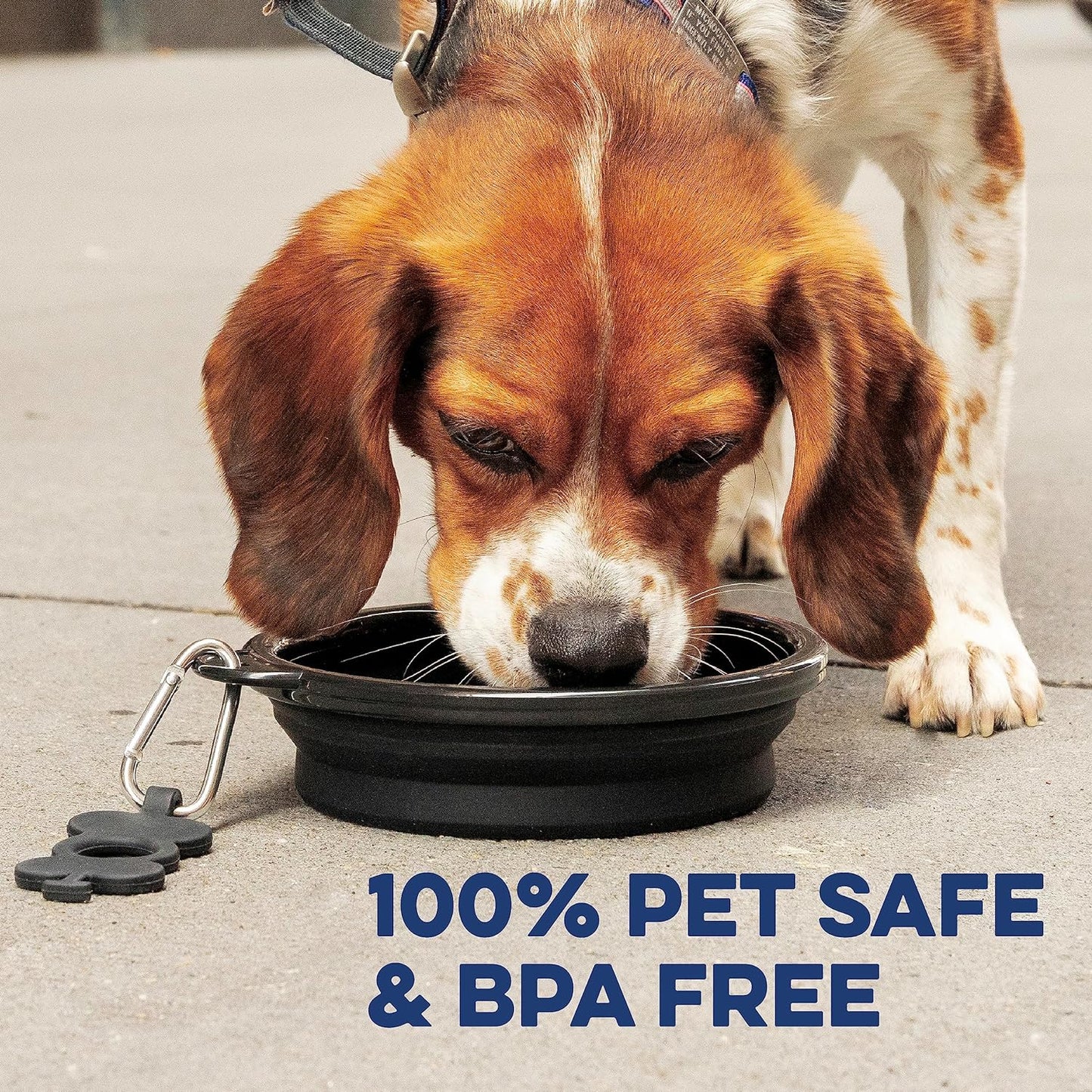 Large Collapsible Dog Bowl 1000 Ml, Sturdy Reinforced Rim, Includes Carabiner & Water Bottle Holder Keychain, Light Gray