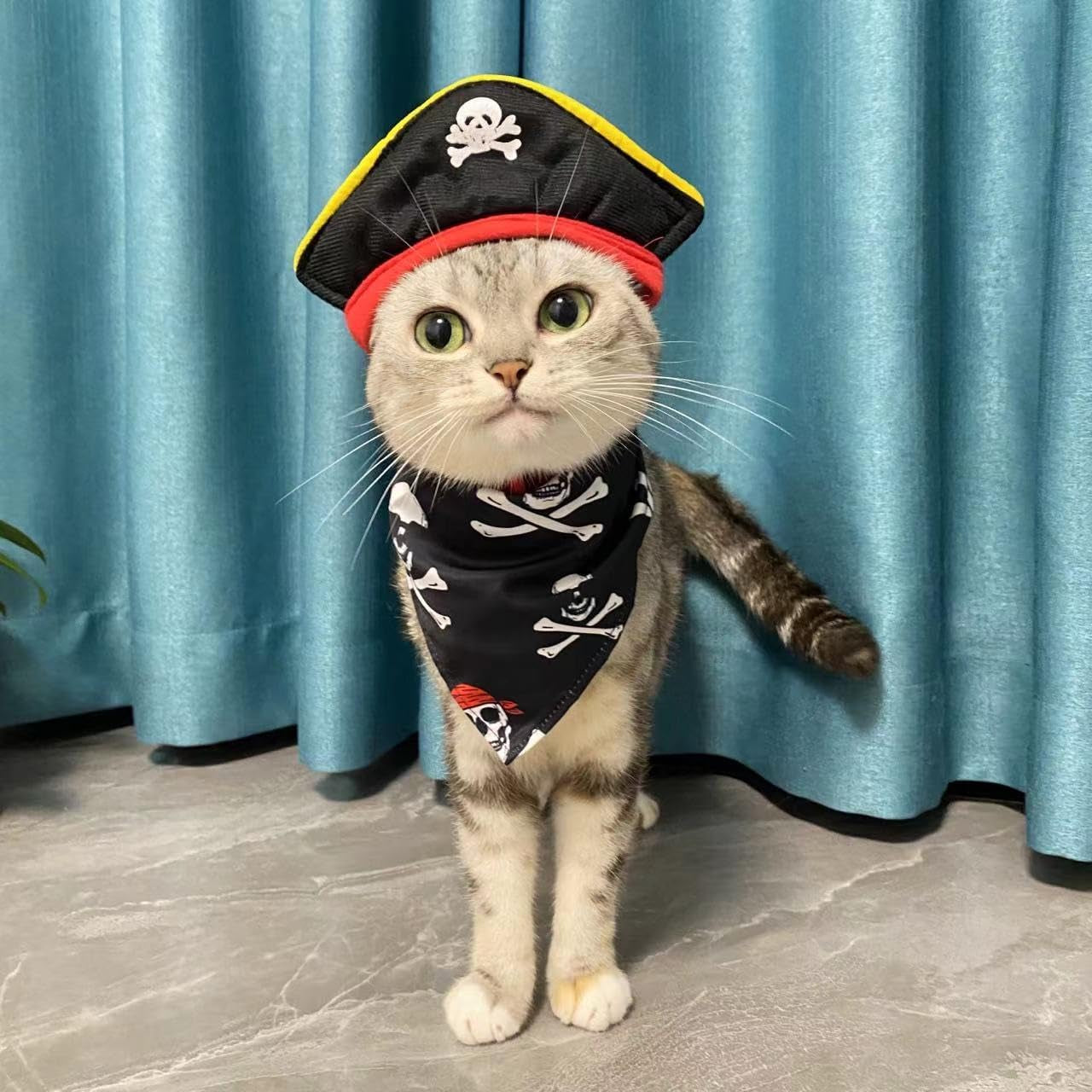 Pet Pirate Costume Cat Pirate Costumes Pet Pirate Hat Pirate Skull Triangle Bandana Halloween for Dogs Cats with Skull Hat Pirates Party Necklace for Pet Captain Headwear for Cat