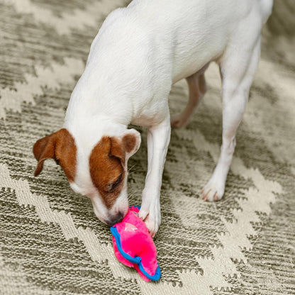 Outward Hound Durablez Tough Plush Squeaky Dog Toy, Hedgehog, Turquoise, XS