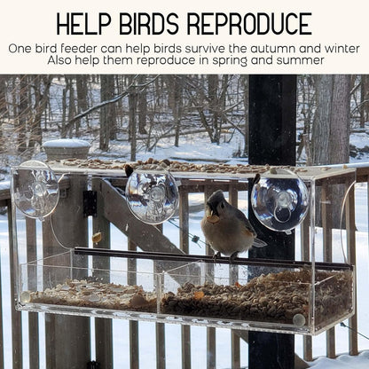 MrCrafts Window Bird Feeder for Outside with Strong Suction Cups, Fits for Cardinals, Finches, Chickadees etc