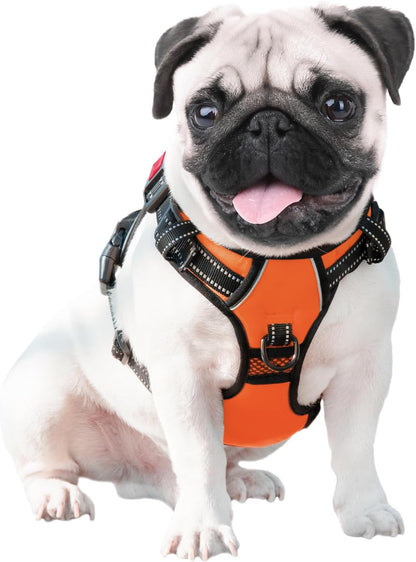 PHOEPET No Pull Dog Harness Reflective Adjustable Vest with a Training Handle, Name ID Pocket, 2 Metal Leash Hooks, 3 Snap Buckles [Easy to Put on & Take Off](M, Baby Blue)