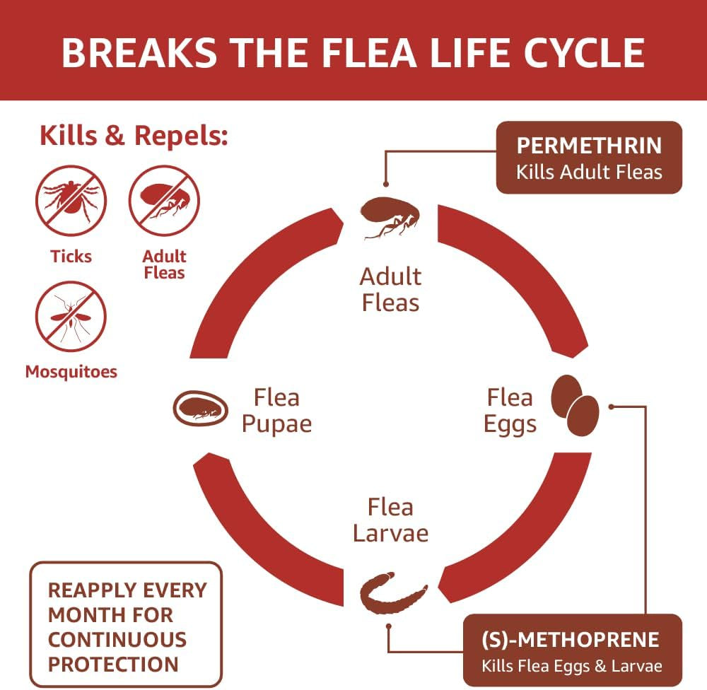 Amazon Basics Flea, Tick & Mosquito Topical Treatment for Large Dogs (21-55 Pounds), 6 Count (Previously Solimo)