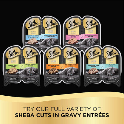 Sheba Perfect Portions Cuts in Gravy Wet Cat Food Trays (36 Count, 72 Servings), Roasted Chicken, Signature Tuna and Tender Turkey Entrée, Easy Peel Twin-Pack Trays