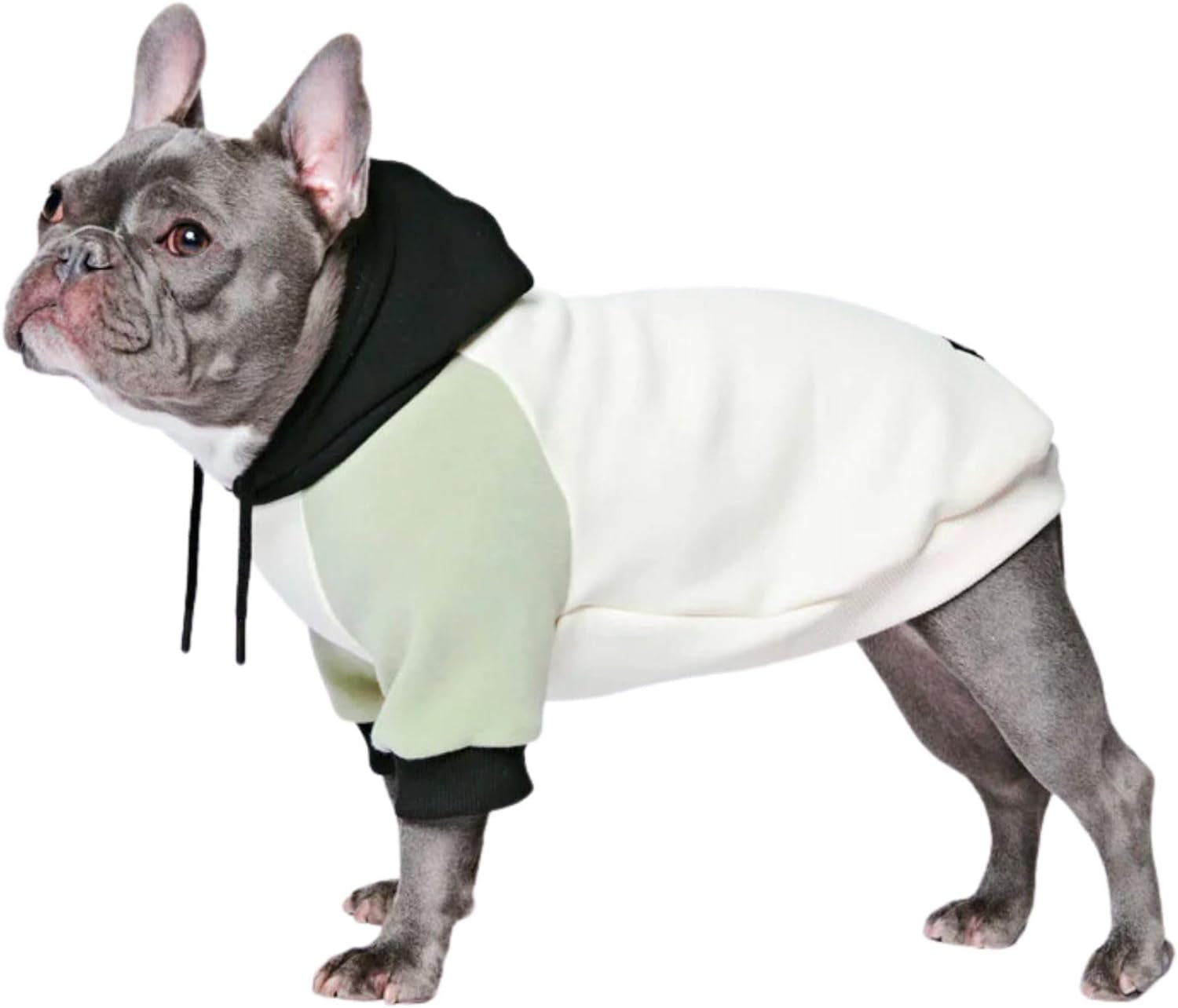 Spark Paws Dog Hoodie - Premium Quality, Buttery Soft, Superior Comfort and Fit, Calming Fleece Interior, Suitable for All Breeds - Olive Cream - M