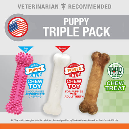 Nylabone Puppy Triple Pack - Pink Puppy Teething Toy, Nylon Dog Toy, & Chew Treat Variety Pack - Puppy Supplies - Chicken and Bacon Flavors, Small/Regular (3 Count)