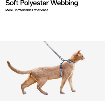 Pidan Cat Harness & Leash Set, Cats Escape Proof Adjustable Kitten Harness for Large Small Cats