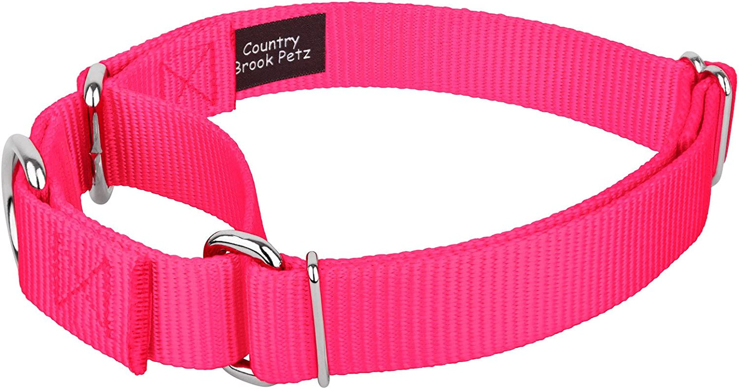 Country Brook Petz - Green Martingale Heavy Duty Nylon Dog Collar - 21 Vibrant Color Options (3/8 Inch Width, Micro)