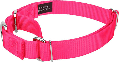 Country Brook Petz - Ice Blue Martingale Heavyduty Nylon Dog Collar - 21 Vibrant Color Options (1 Inch Width, Medium)