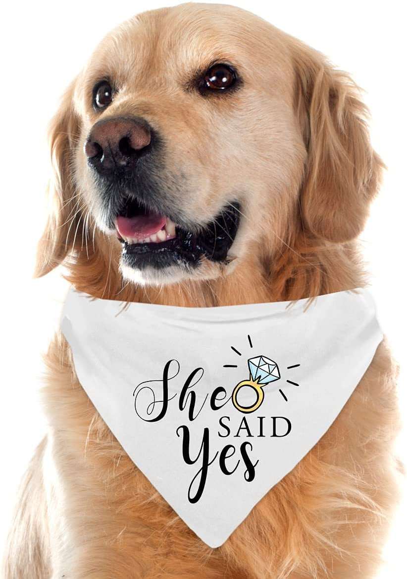 Engagement Gifts, My Humans are Getting Married She Said Yes Dog Bandana for Wedding Engagement Photos, Bridal Shower Gift,Dog Wedding Outfit, Dog Engagement Announcement, Bride to Be Gifts