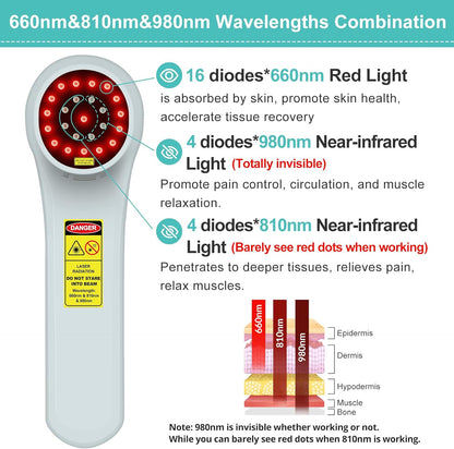 Cold Laser Therapy Device for Dogs,4x980nm+16x660nm+4x810nm Low Level Laser Therapy,Handheld Laser Therapy Device,Pet Laser Therapy for Dogs Cats Muscle & Joint Pain Relief,Reduce Inflammation