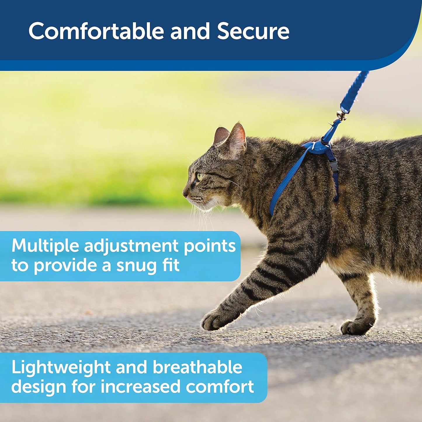 Petsafe Come with Me Kitty Harness and Bungee Leash, Harness for Cats, Medium, Royal Blue/Navy