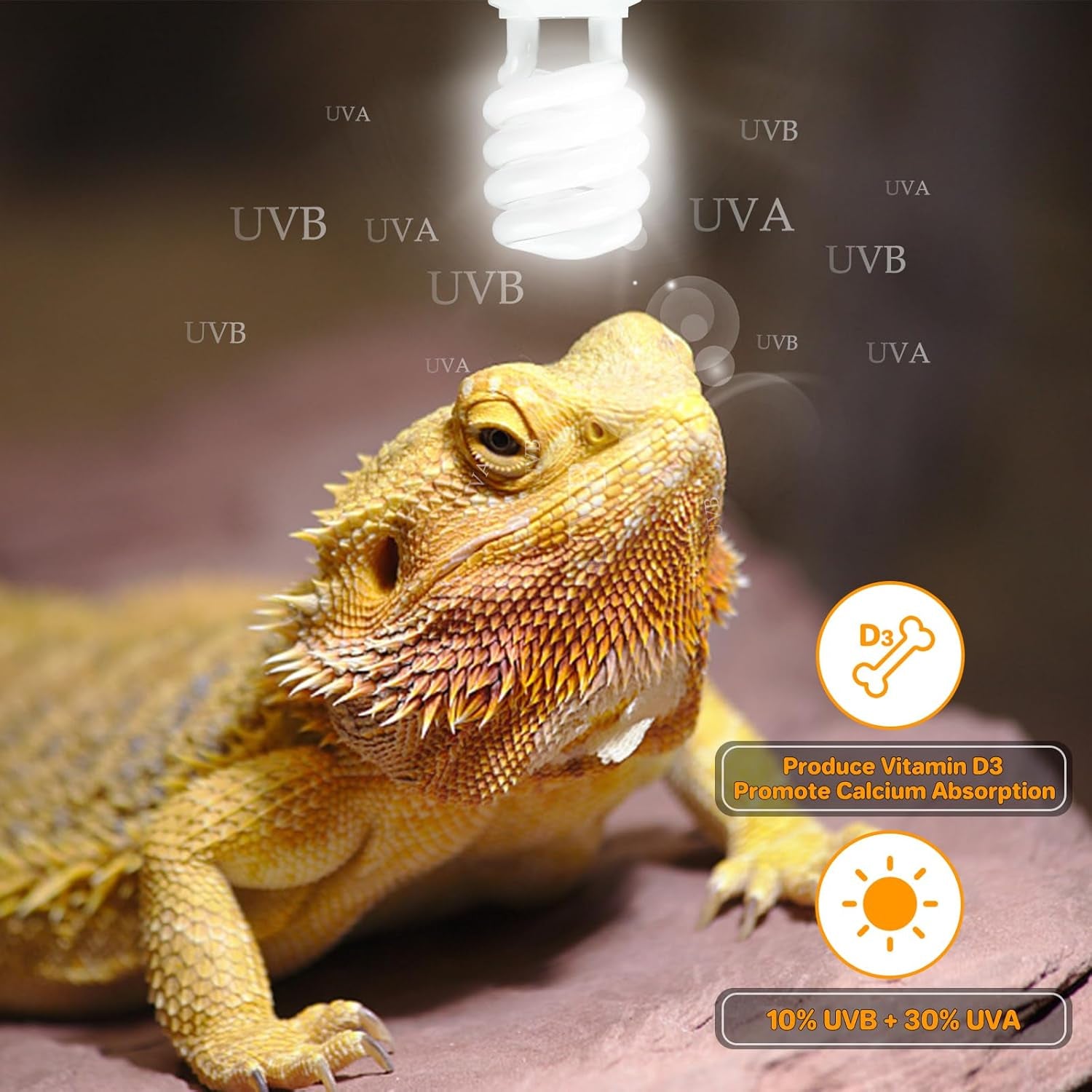 LUCKY HERP UVA UVB Reptile Light 10.0, Desert UVB 150 Compact Fluorescent Lamp, UVB Light for Reptiles 23W, UVA UVB Reptile Light Bulb, UVB Bulb for Reptiles Bearded Dragons Lizards Tortoises Snakes