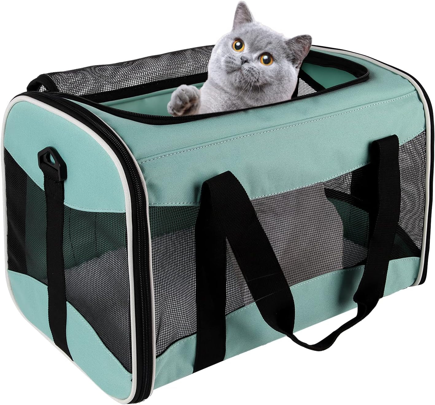 Cat Carrying Case Pet Dog Carrier Soft-Sided Cat Bag Airline Approved, Pet Travel Carrier up to 15 Lbs, Collapsible Cat Carrier Dog Carrier for Medium Cats Small Cats Dogs(17X11X11 Green)