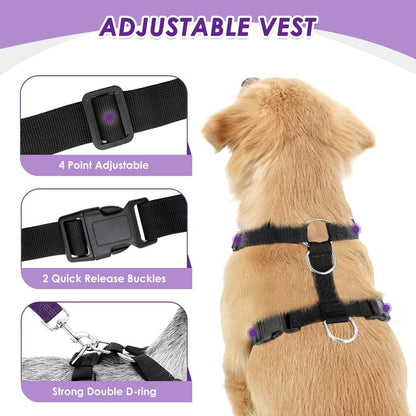 Lukovee Dog Seat Belt for Car, Adjustable Dog Car Harness for Large Medium Small Dogs, Soft Padded & Breathable Mesh Dog Seatbelt with Car Strap and Carabiner((Double Clip 2 in 1),Large)