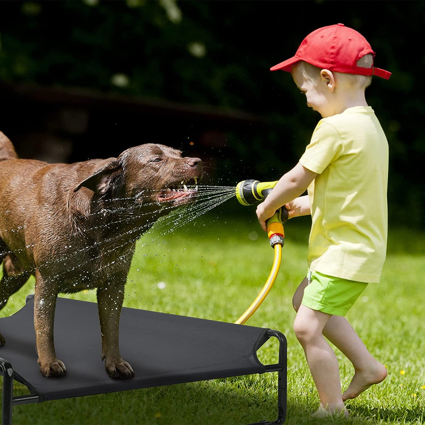 Veehoo Original Cooling Elevated Dog Bed, Outdoor Raised Cots Bed for Large Dogs, Portable Standing Pet with Washable Breathable Mesh, No-Slip Feet Indoor Outdoor, Large, Black, CWC2201