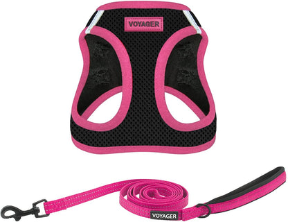 Voyager Step-In Air All Weather Mesh Harness and Reflective Dog 5 Ft Leash Combo with Neoprene Handle, for Small, Medium and Large Breed Puppies by Best Pet Supplies - Black/Pink Trim, Small