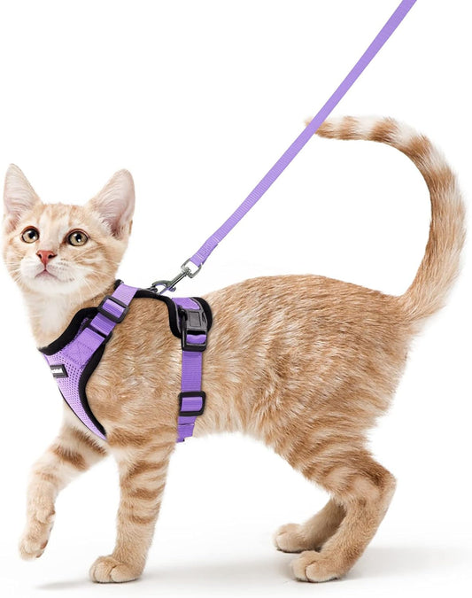 Rabbitgoo Cat Harness and Leash for Walking, Escape Proof Soft Adjustable Vest Harnesses for Cats, Easy Control Breathable Reflective Strips Jacket, Light Purple, S